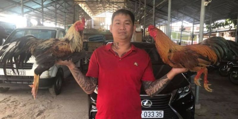Tìm hiểu Mít Trà Cú là ai tai gemwin? 